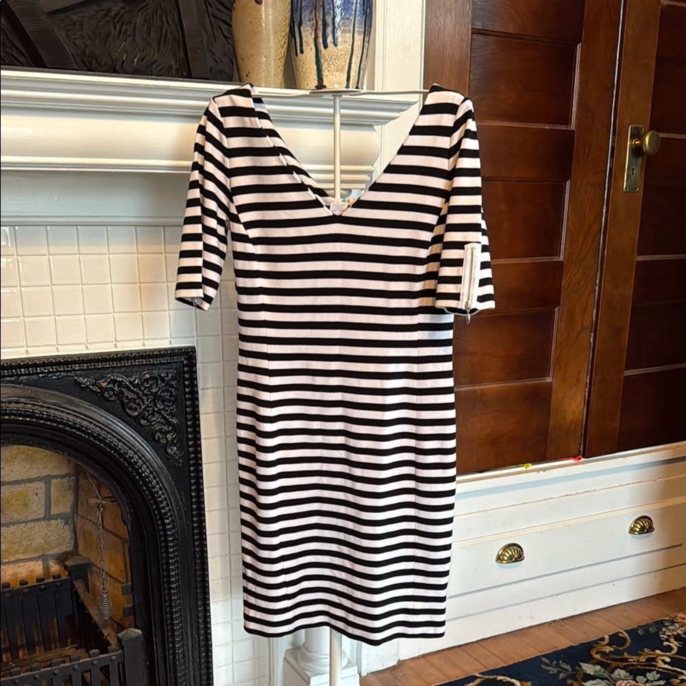Banana Republic Stylish Black and White zip sleeve and back V-Neck Dress worn 3x